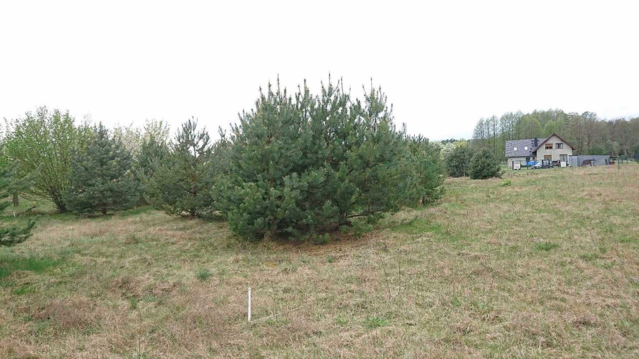 Działka budowlana Trzęsów. Zdjęcie 4