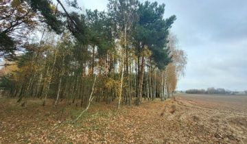 Działka rolna Wola Młocka