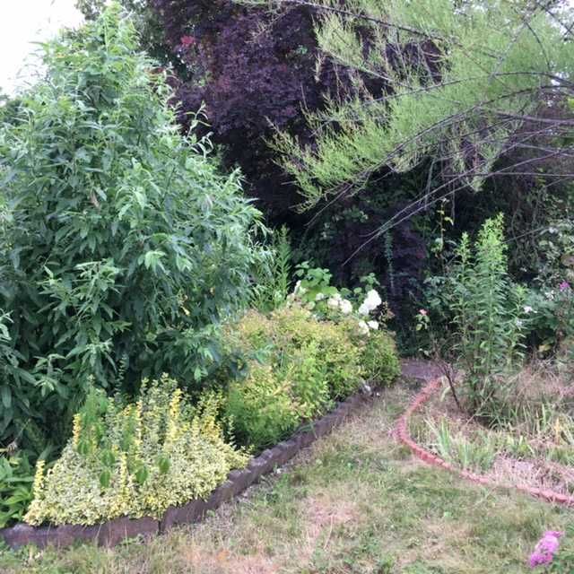 Działka rod Wrocław Stare Miasto, ul. Góralska. Zdjęcie 7