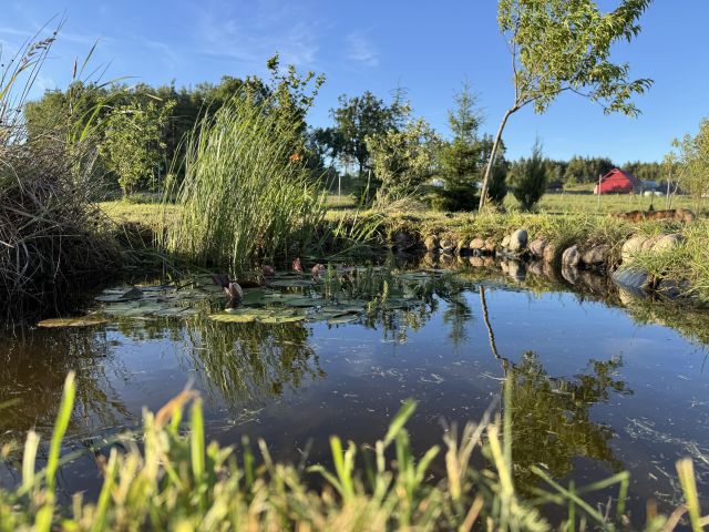 dom wolnostojący, 3 pokoje Kopczany. Zdjęcie 24