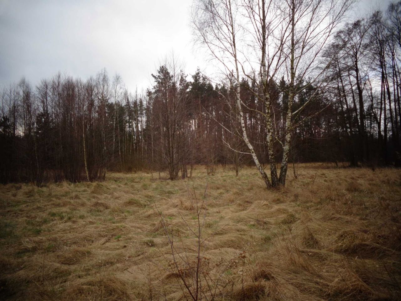 Działka budowlana Stare Polesie. Zdjęcie 7