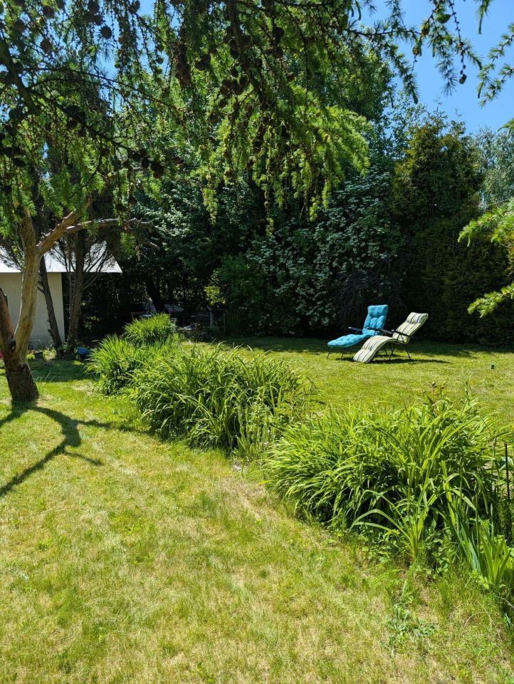 Działka rod Szczecin Gumieńce, ul. Spiska. Zdjęcie 3