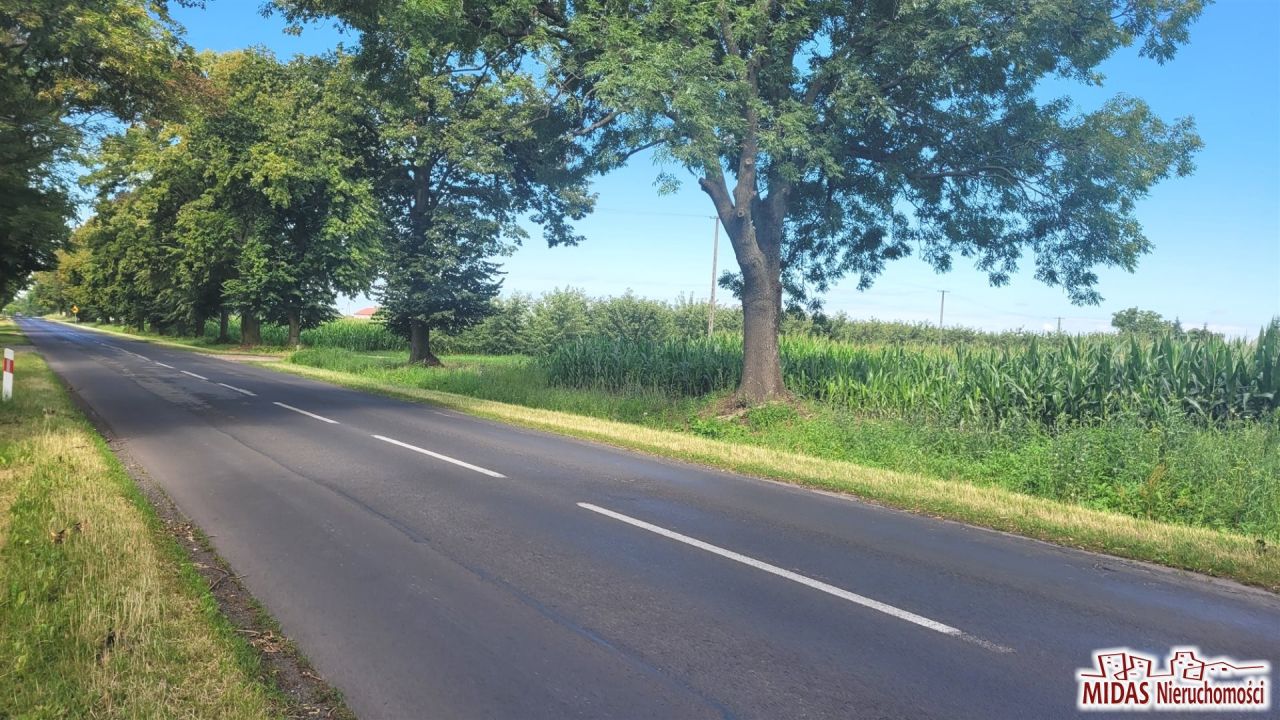 Działka budowlana Dobrzyń nad Wisłą. Zdjęcie 5