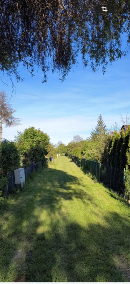 Działka rod Gdańsk Olszynka, ul. Olszyńska. Zdjęcie 6