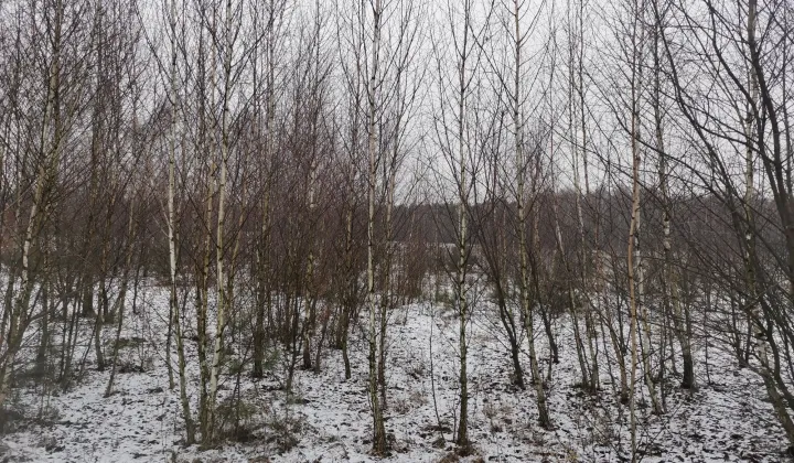 Działka rolna Nowa Wieś