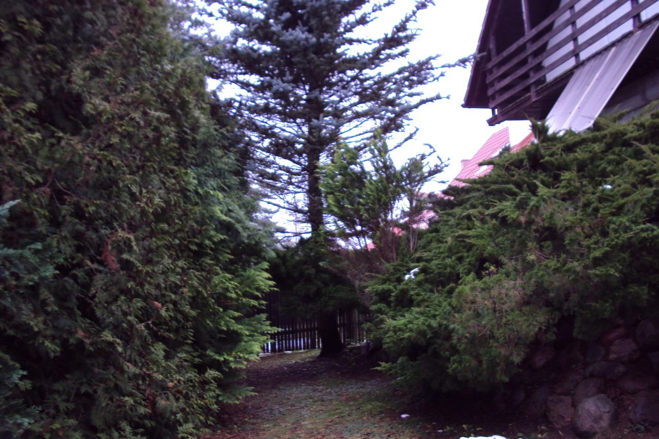 dom wolnostojący, 3 pokoje Wilkasy, ul. Bratkowa. Zdjęcie 25