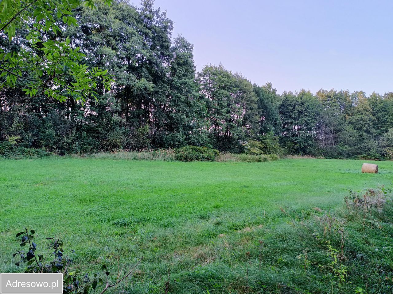 Działka rekreacyjna Jesiona Jesionka. Zdjęcie 2