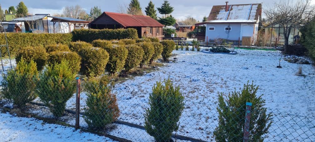 Działka rod Niekłonice. Zdjęcie 5