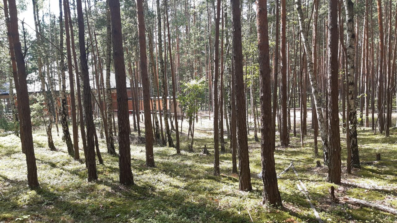 Działka budowlana Choroń, ul. Porajska. Zdjęcie 4