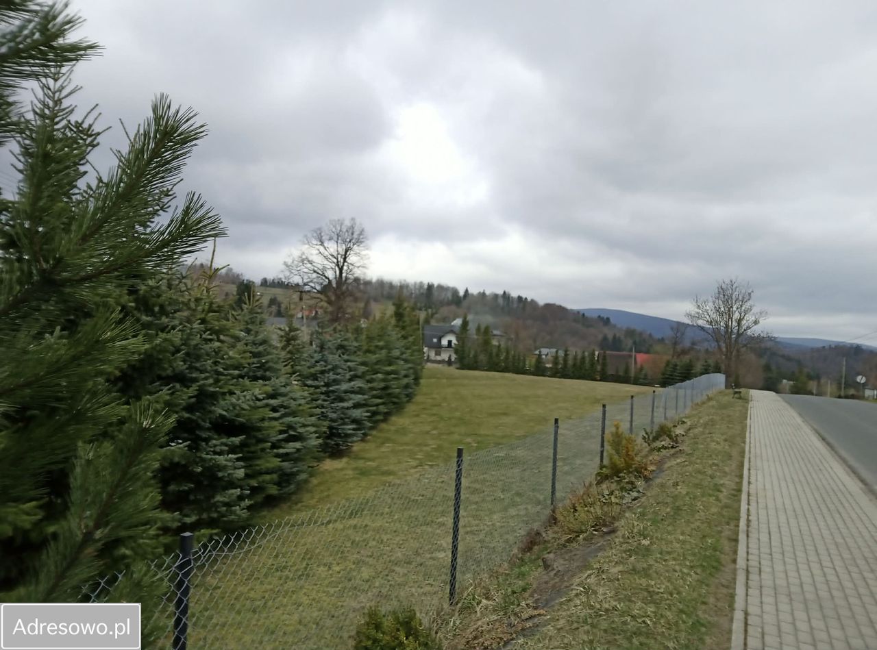 Działka budowlana Laliki. Zdjęcie 5