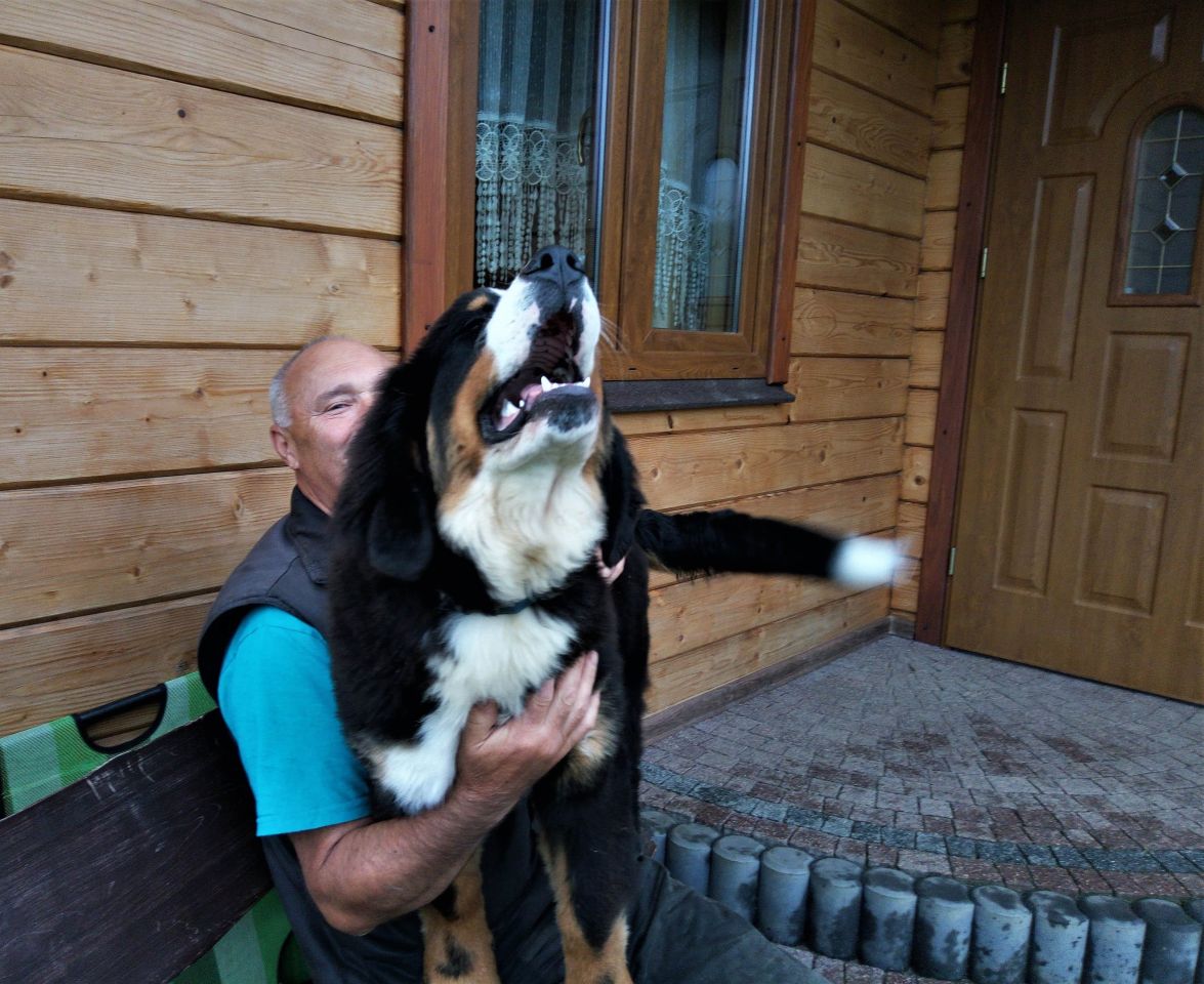 siedlisko, 7 pokoi Turzańsk. Zdjęcie 14