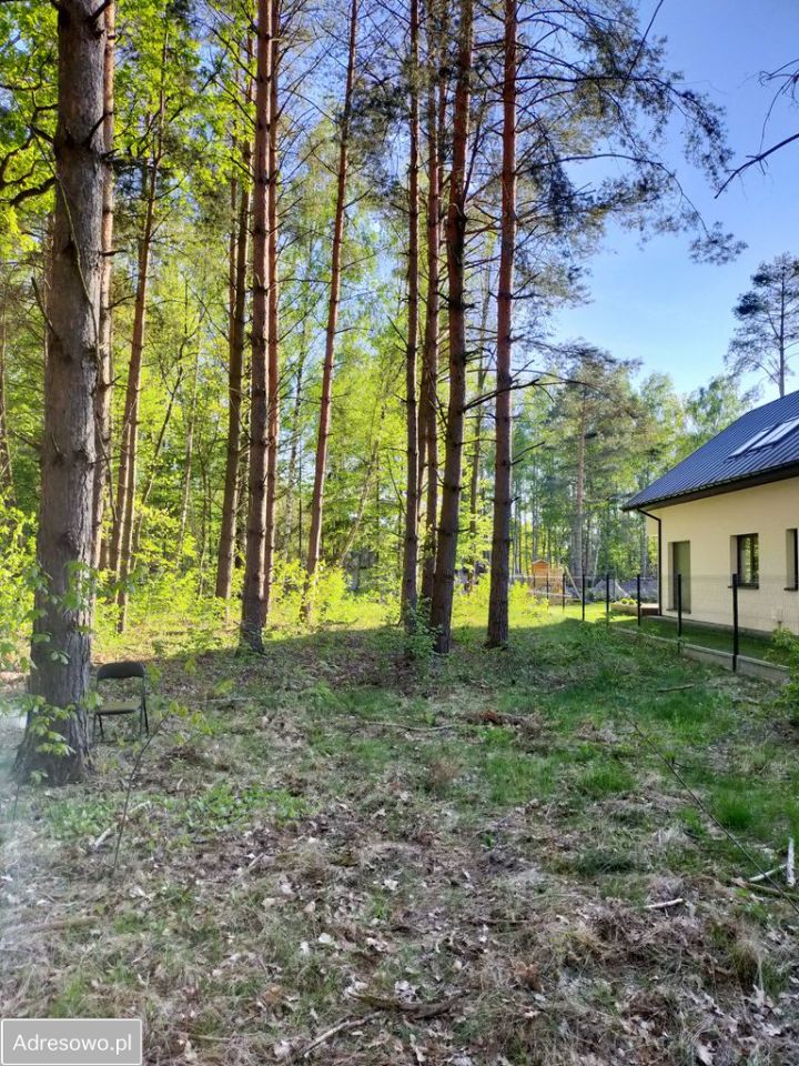 Działka budowlana Złotokłos, ul. Klonowa