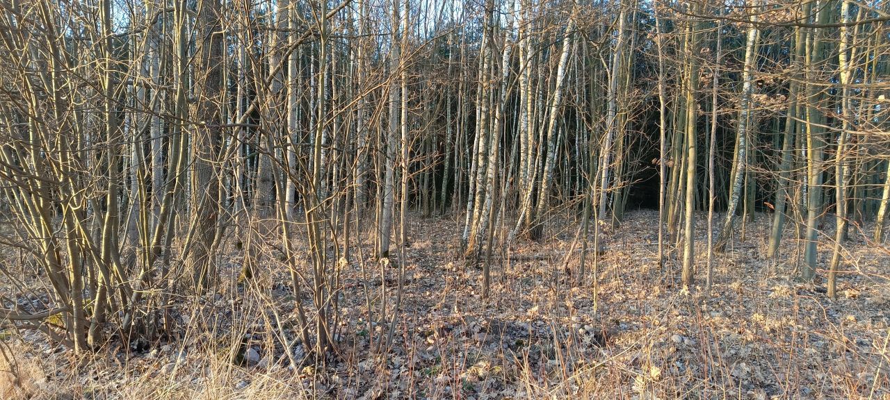 Działka rolna Stare Kościeliska, ul. Bratkowa. Zdjęcie 4