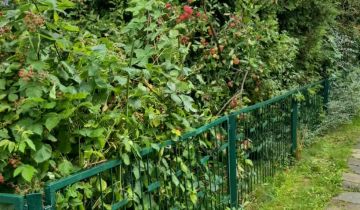 Działka rod Rybnik Maroko-Nowiny, ul. Franciszka Pilarczyka