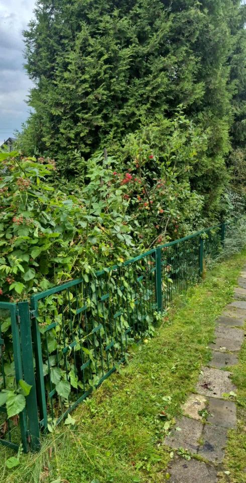 Działka rod Rybnik Maroko-Nowiny, ul. Franciszka Pilarczyka