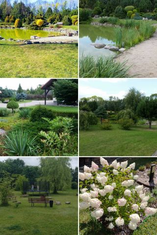 dom wolnostojący, 9 pokoi Sobącz. Zdjęcie 61