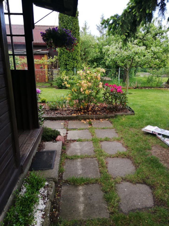 Działka rod Warszawa Bemowo, Dzialka ROD Bemowo II. Zdjęcie 10