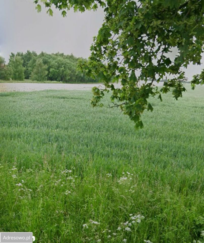 dom wolnostojący, 4 pokoje Obroty. Zdjęcie 14