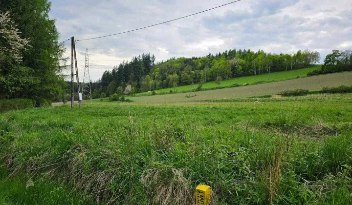 Działka budowlana Nowy Waliszów