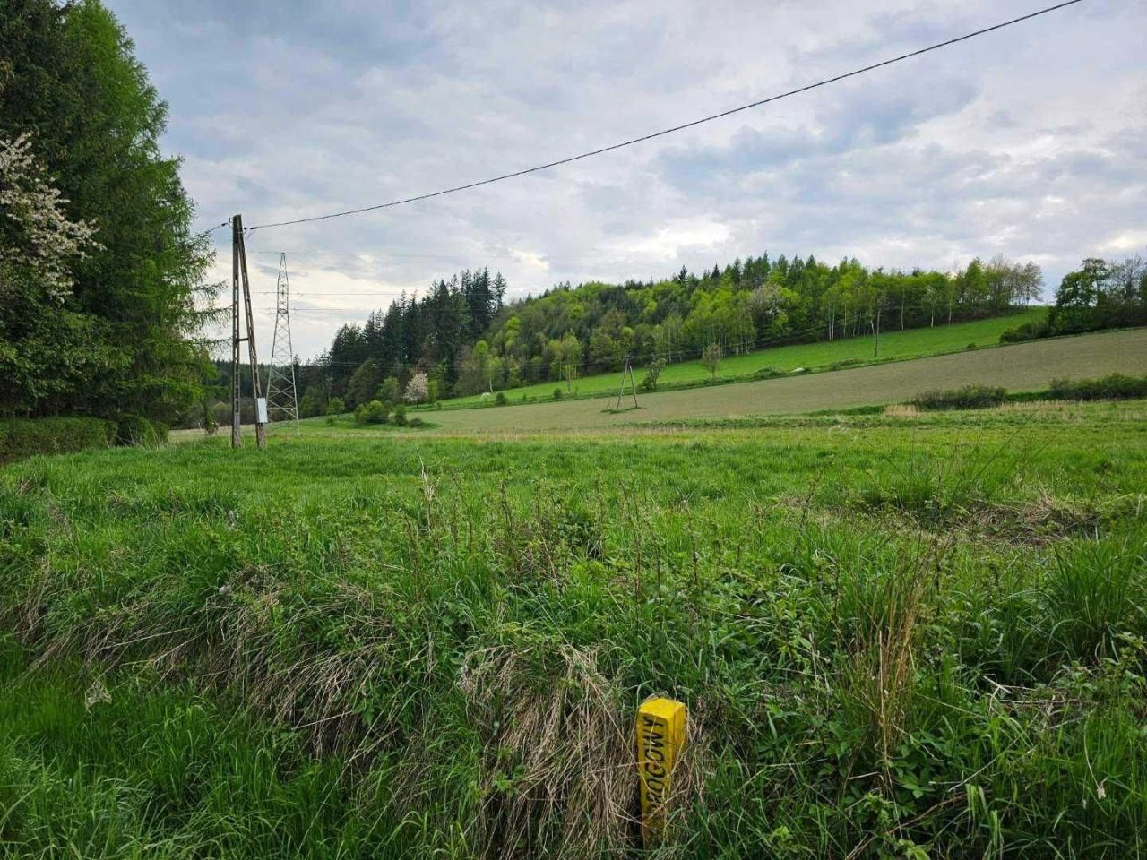 Działka budowlana Nowy Waliszów