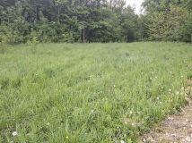 Działka budowlana Kuńkowce. Zdjęcie 1