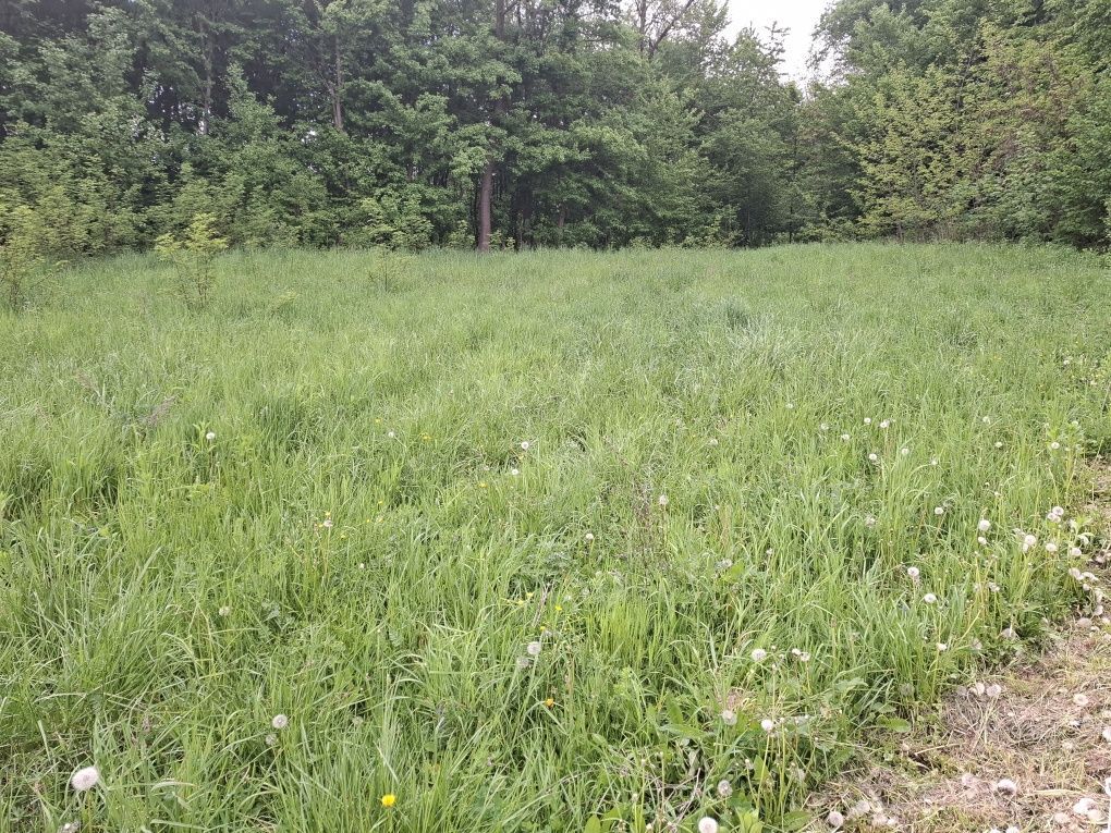 Działka budowlana Kuńkowce. Zdjęcie 2