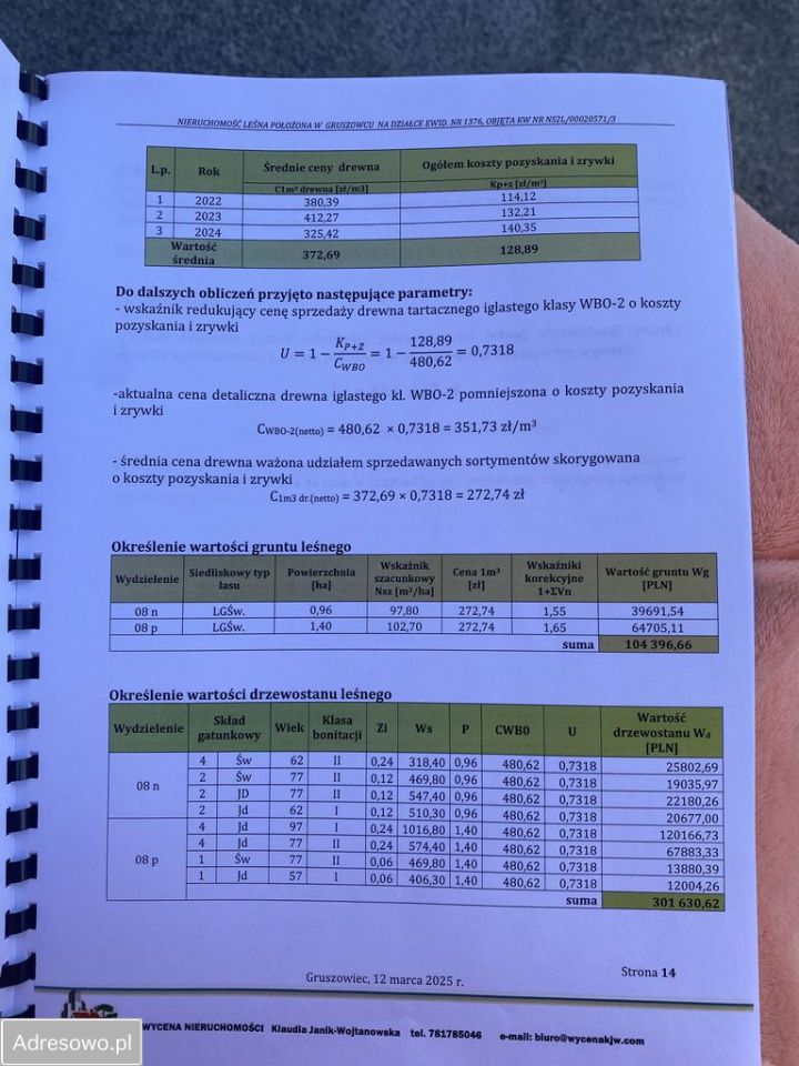 Działka leśna Gruszowiec. Zdjęcie 2