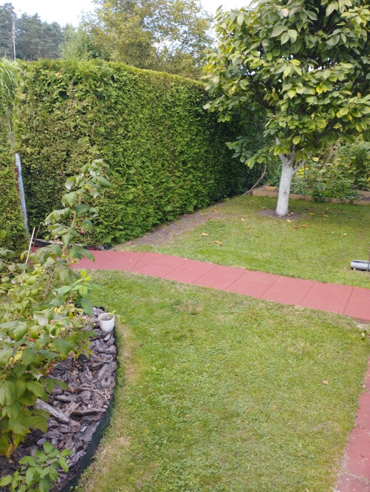 Działka rod Pawlikowice. Zdjęcie 7