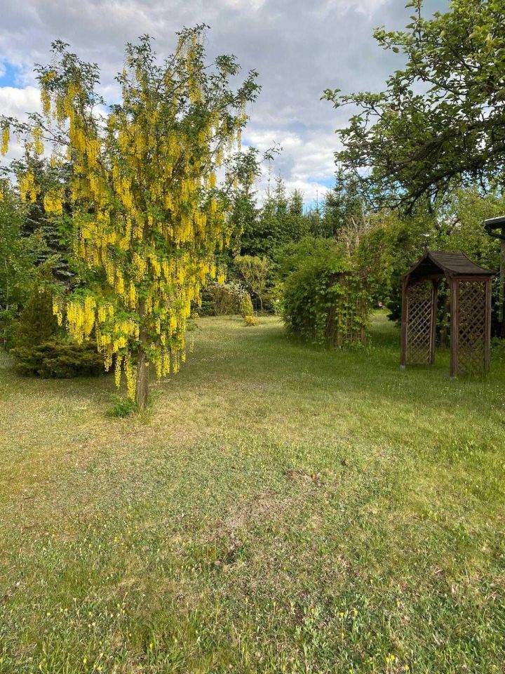 Działka rolno-budowlana Witunia, ul. Podgórna. Zdjęcie 6