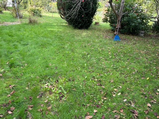 Działka rod Jastrzębie-Zdrój, ul. Chlebowa. Zdjęcie 3