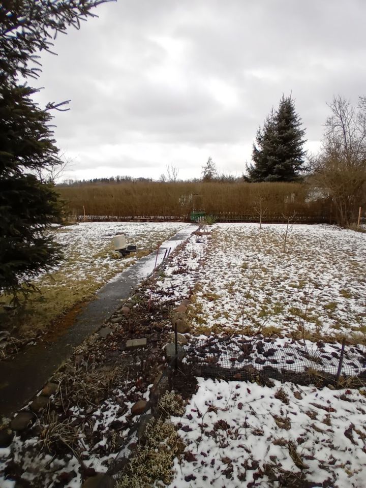 Działka rod Lubsko. Zdjęcie 6