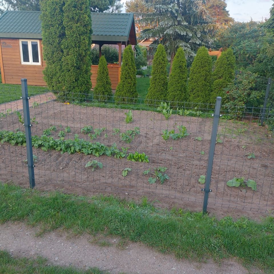 Działka rod Białystok Wygoda, ul. 42 Pułku Piechoty. Zdjęcie 3