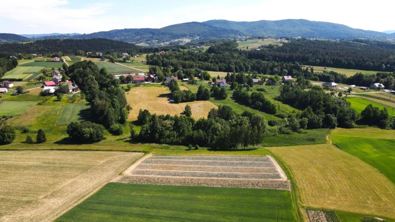 Działka budowlana Łąkta Dolna. Zdjęcie 6