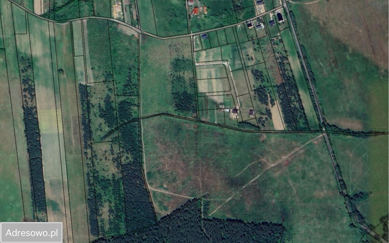 Działka rolna Miłogostowice. Zdjęcie 3