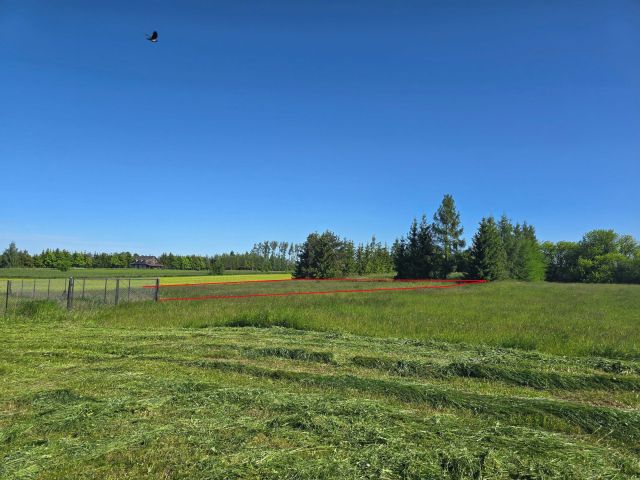 Działka rolna Czarna Wieś. Zdjęcie 1