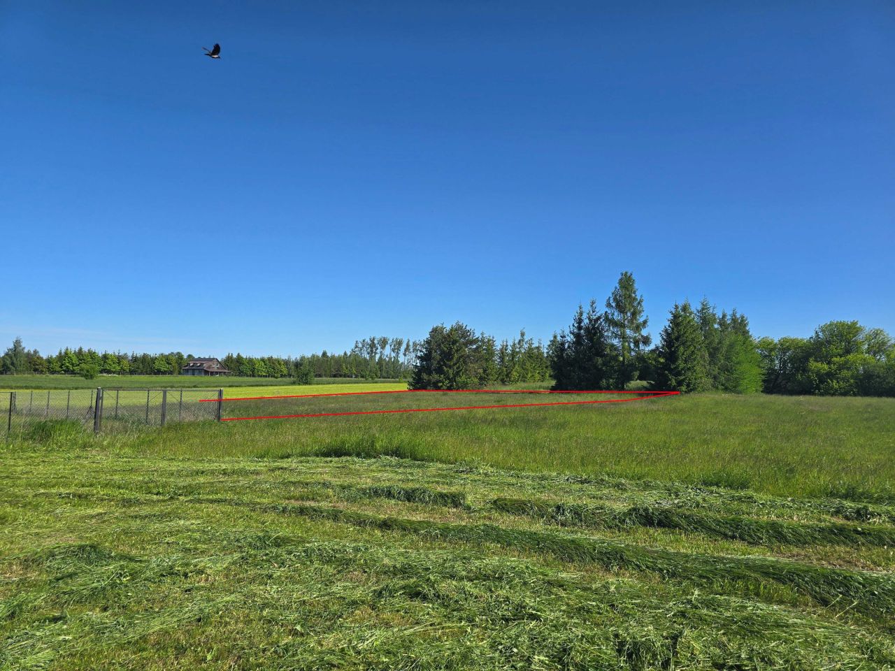 Działka rolna Czarna Wieś