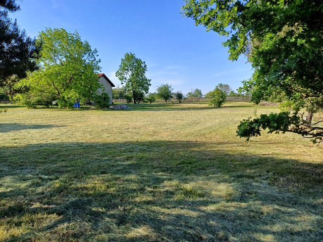 Działka budowlana Młodasko, ul. Kaźmierska. Zdjęcie 1