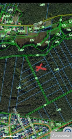 Działka leśna Siemiatycze. Zdjęcie 1