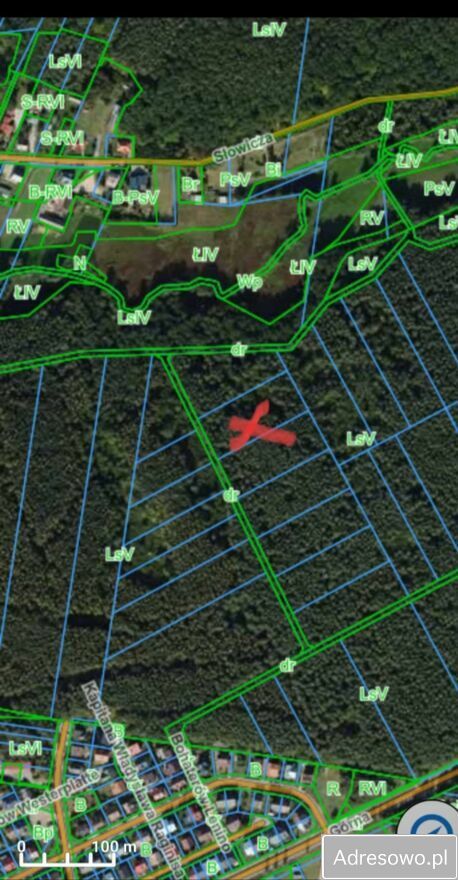 Działka leśna Siemiatycze