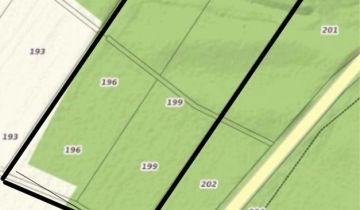 Działka leśna Dąbrówka