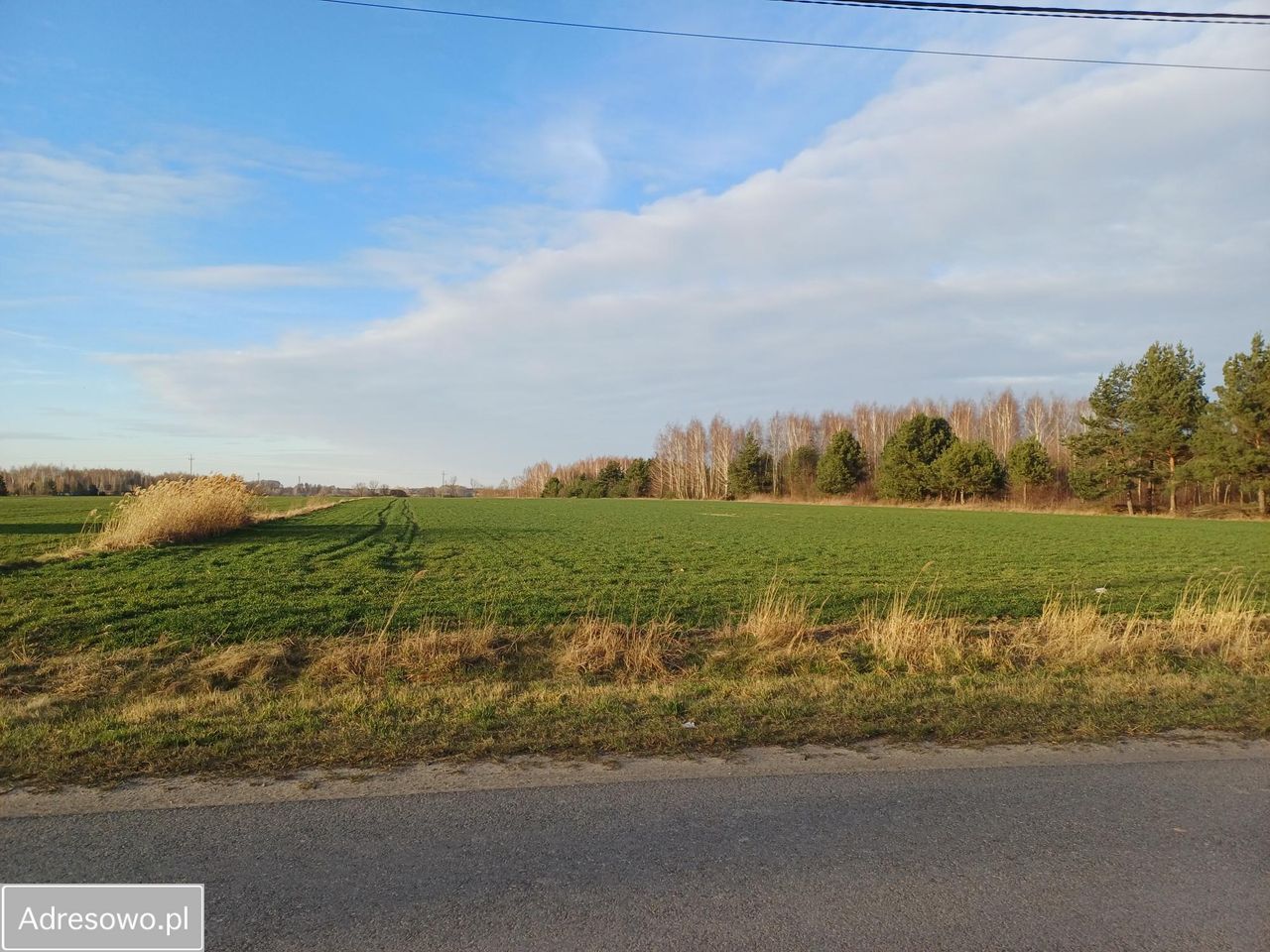 Działka budowlana Rozalin. Zdjęcie 7
