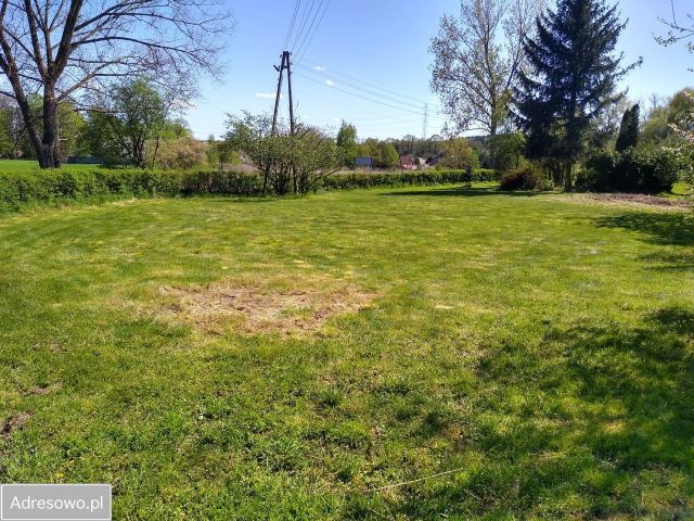 Działka rolna Rynarcice. Zdjęcie 1