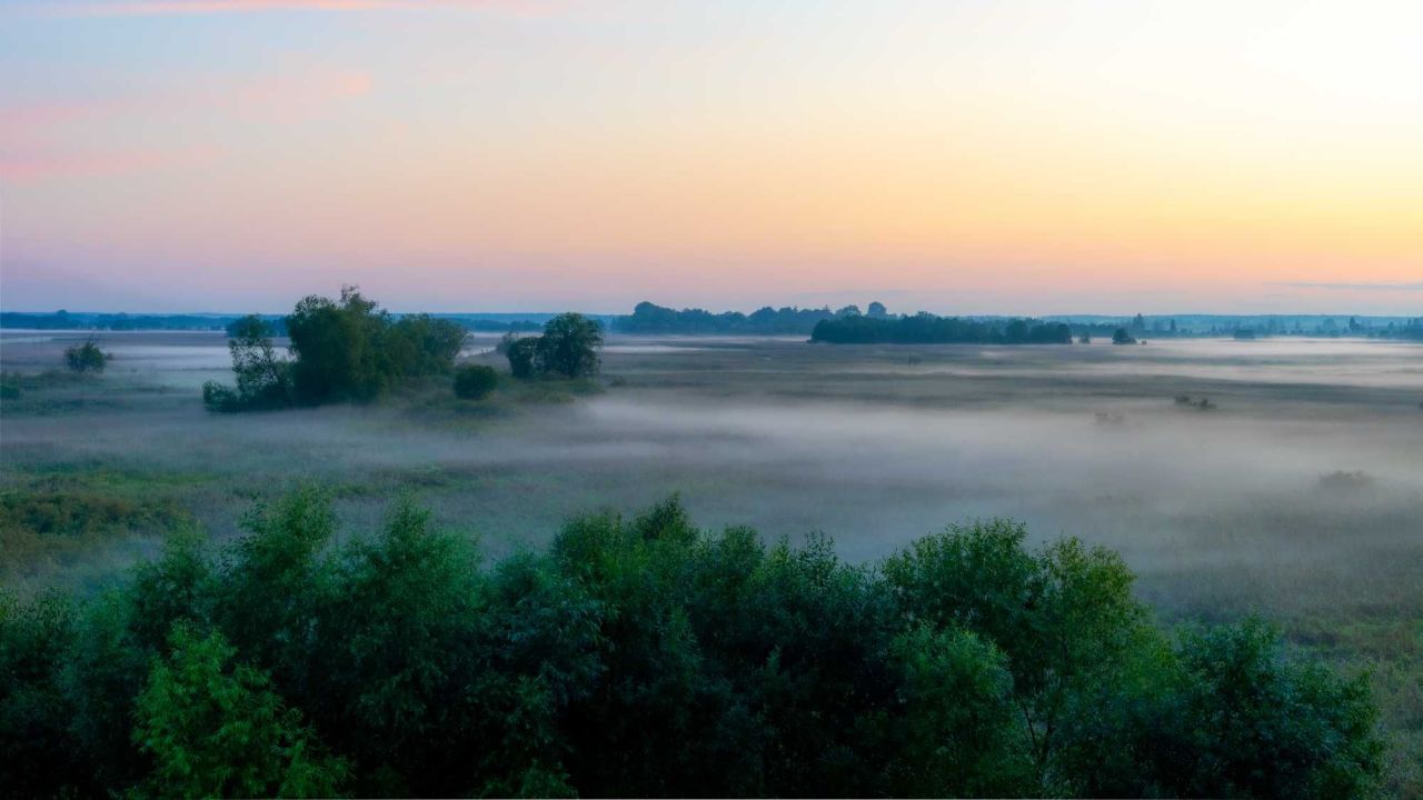dom wolnostojący Kruszewo. Zdjęcie 6