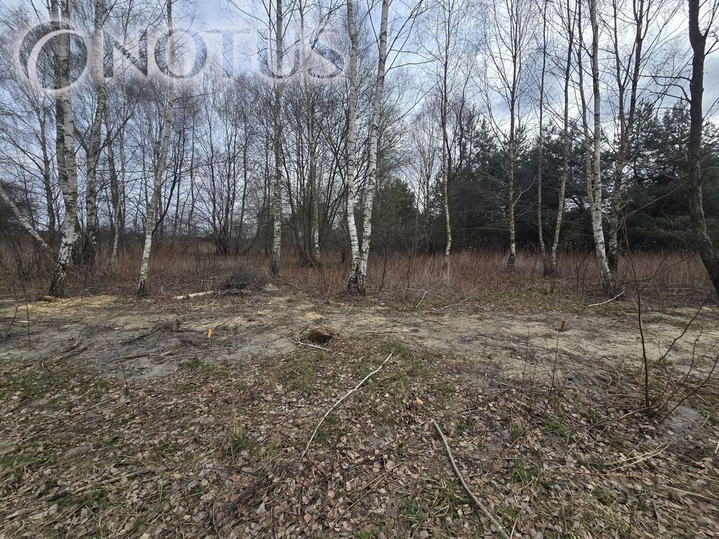 Działka budowlana Jastrzębnik. Zdjęcie 8