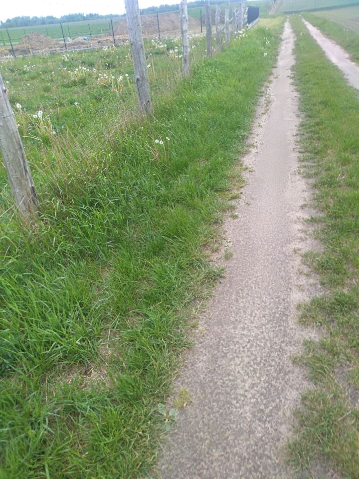 Działka budowlana Kobyle. Zdjęcie 4