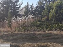 dom wolnostojący, 6 pokoi Murzynowo Leśne, ul. Poznańska. Zdjęcie 2