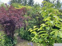 Działka rod Warszawa Zacisze, ul. Lewinowska. Zdjęcie 1