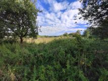 Działka rolno-budowlana Wielki Wełcz. Zdjęcie 2