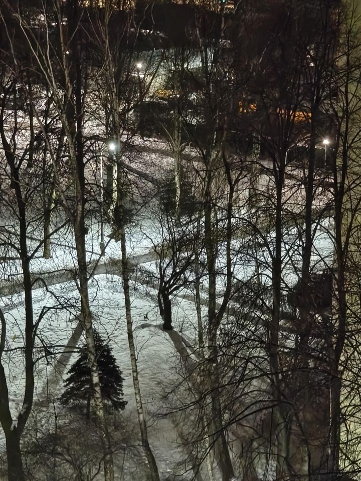 Mieszkanie 3-pokojowe Warszawa Praga-Południe, ul. Lizbońska. Zdjęcie 17