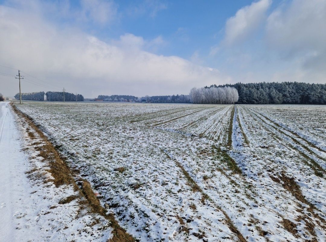 Działka budowlana Chynowa. Zdjęcie 5